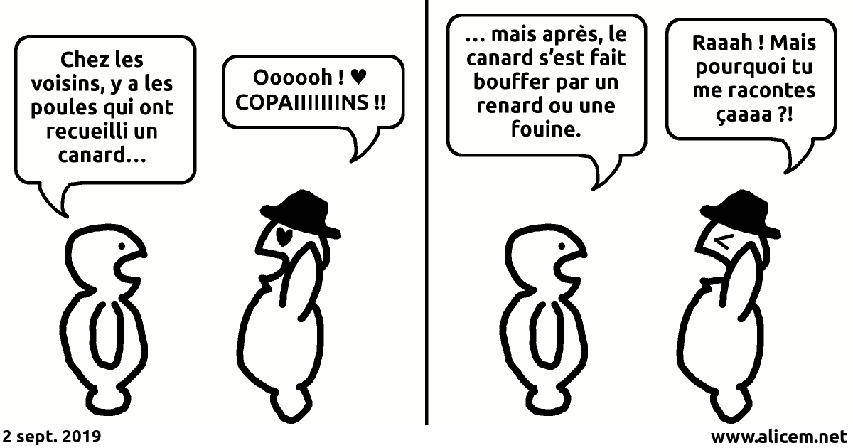 poules_canard.png