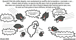 canicule_costards_relou.png