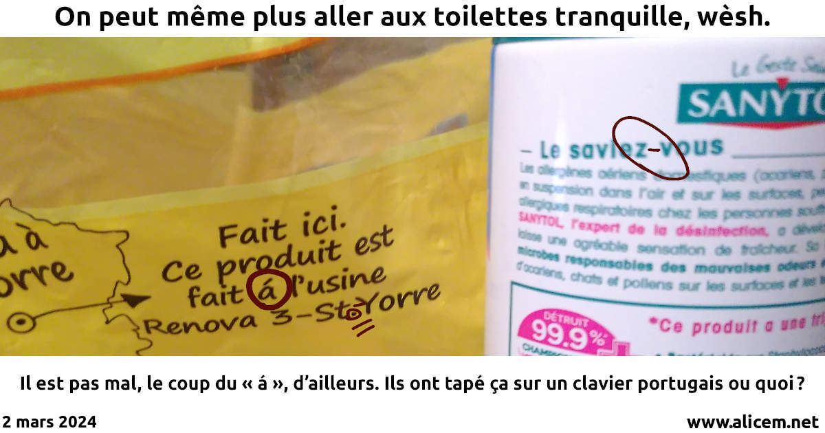 toilettes_fautes_st-yorre.jpg